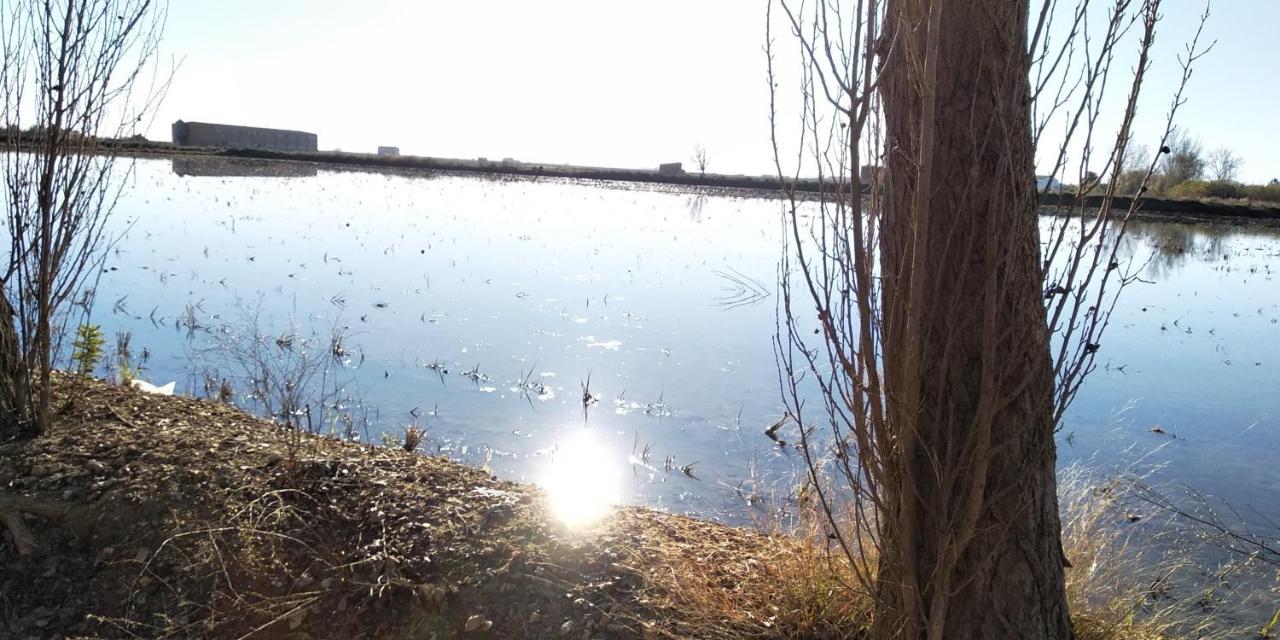 Apartamento Gelum Delta Del Ebro Sant Jaume d'Enveja Extérieur photo